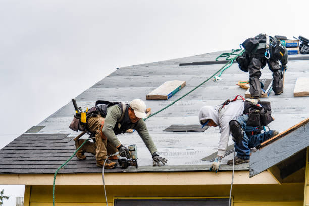 Professional Storm Damage Roof Repair technician working in Wedgefield, SC